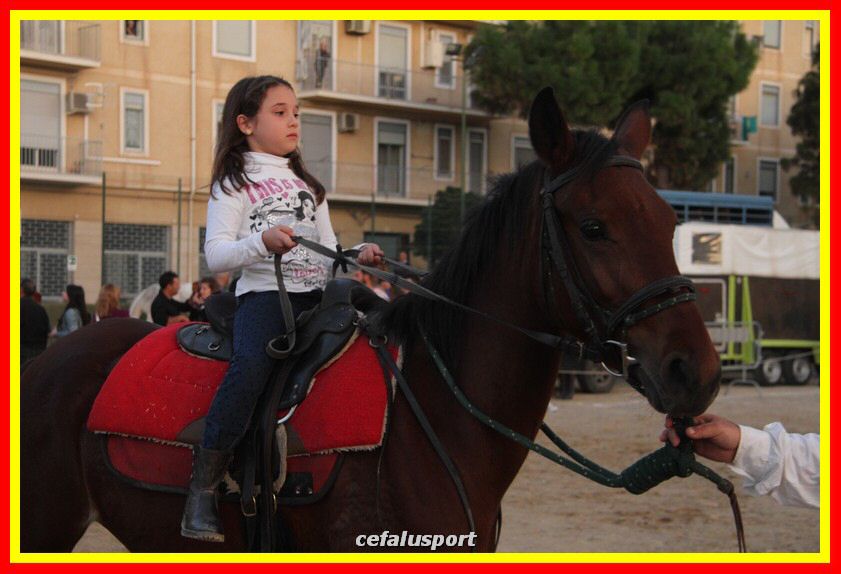 161106 equestre 182_tn.jpg